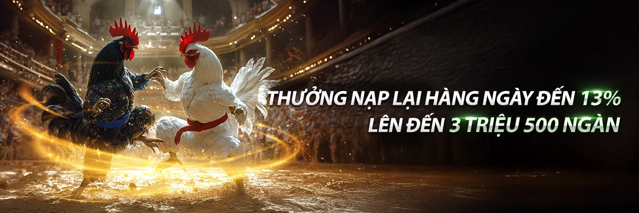 Khuyến mãi và ưu đãi hấp dẫn từ i9bet41 chính thức