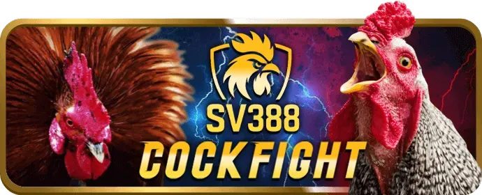 Cá cược Thể thao i9bet41 chính thức
